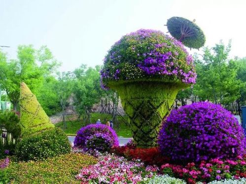 【景區(qū)專用的植物雕塑,園林植物綠雕設(shè)計(jì)】- 