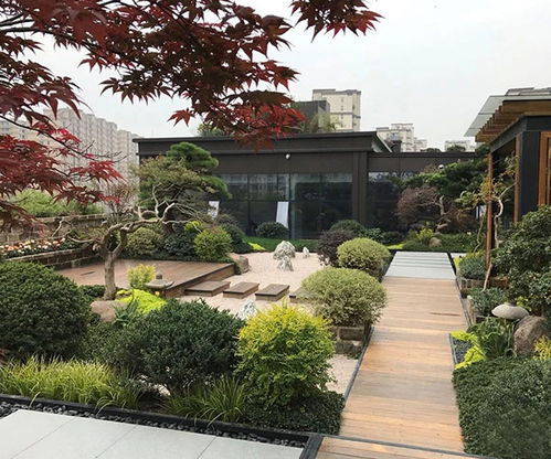 山東大道園林商家推薦 林地與濕地規(guī)劃設(shè)計(jì)哪家好