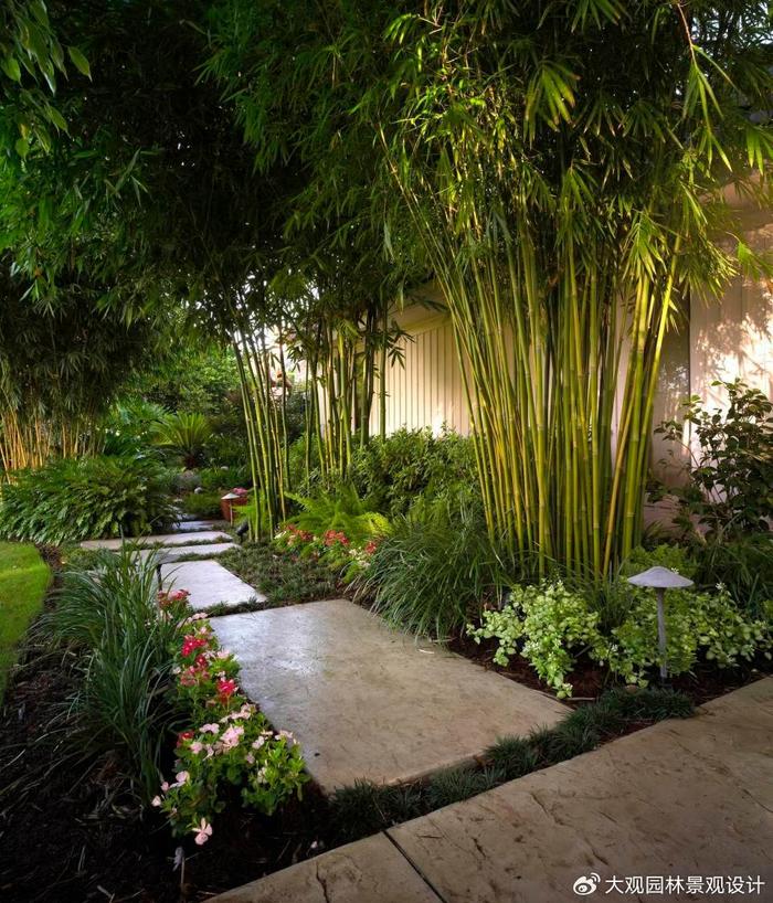 園林景觀設(shè)計(jì)中常用的竹類(lèi)苗木產(chǎn)品有哪些你知道嗎?__財(cái)經(jīng)頭條