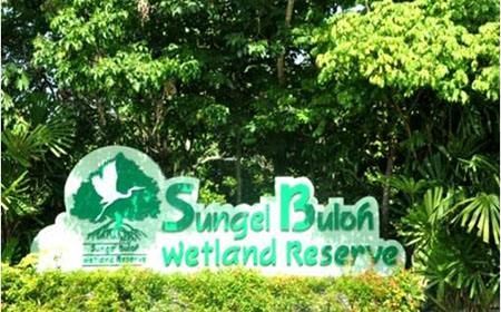 濕地公園如何規(guī)劃 新加坡雙溪布洛濕地公園規(guī)劃設(shè)計(jì)案例詳解