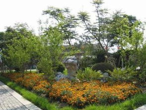 廣州園林綠化與景觀設(shè)計(jì) 專業(yè)服務(wù)全解析